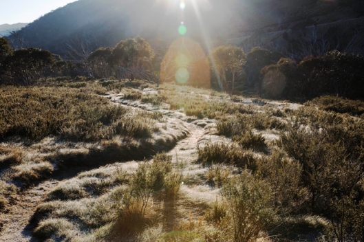 First morning with a frosty path along the river near Dead Horse Gap.